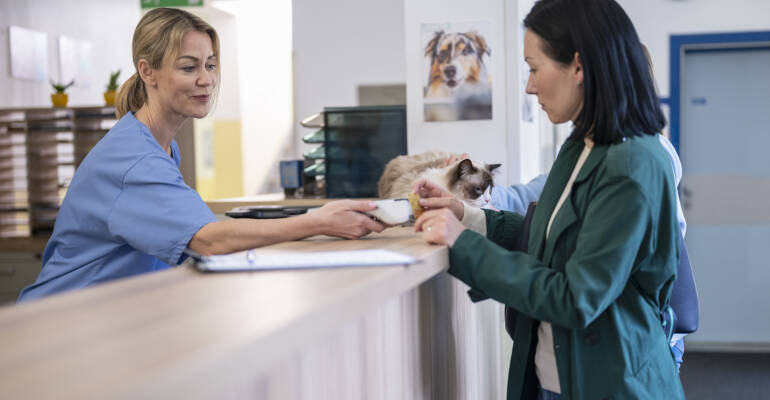 Frais vétérinaires : comprendre les coûts pour mieux anticiper
