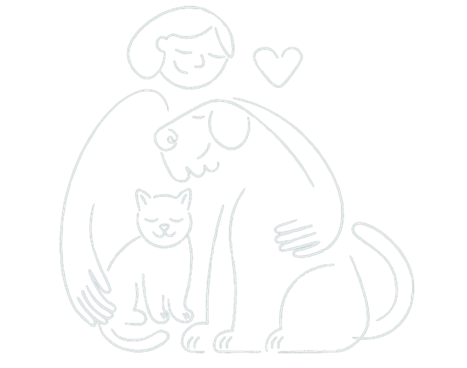<span>L’assurance animaux</span> <br />L’assurance animaux simplifiée pour les propriétaires de chiens et de chats