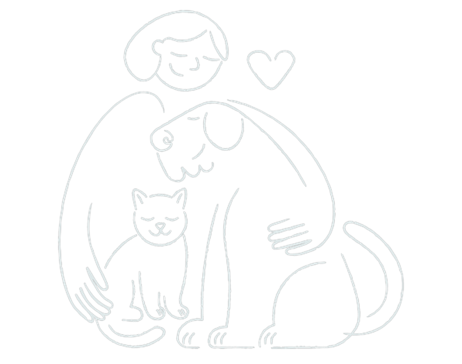 <span>Pet insurance</span> <br />Pet insurance made simple for dog and cat parents